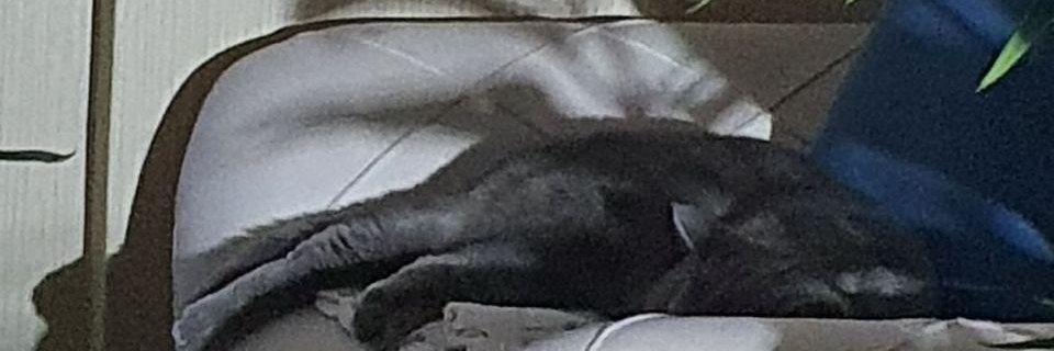 RJTB's profile banner image