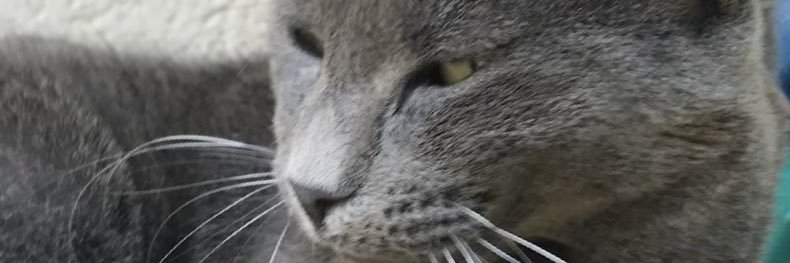 CyndieCzx's profile banner image