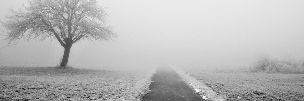 Киселёва Ксения banner