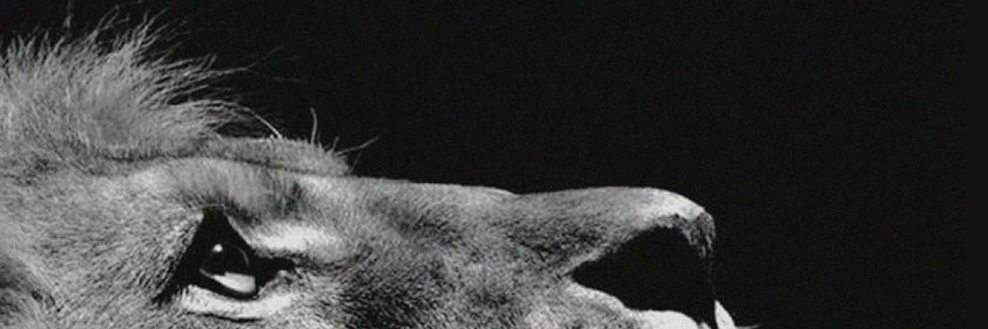 SunAz banner