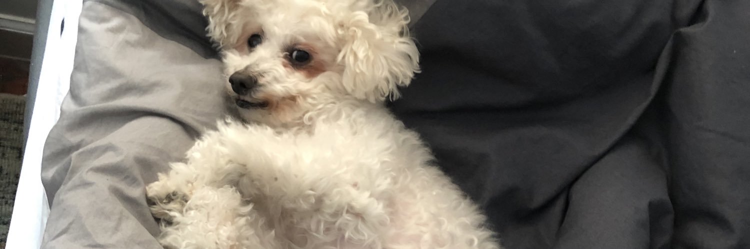 suprdanz's profile banner image