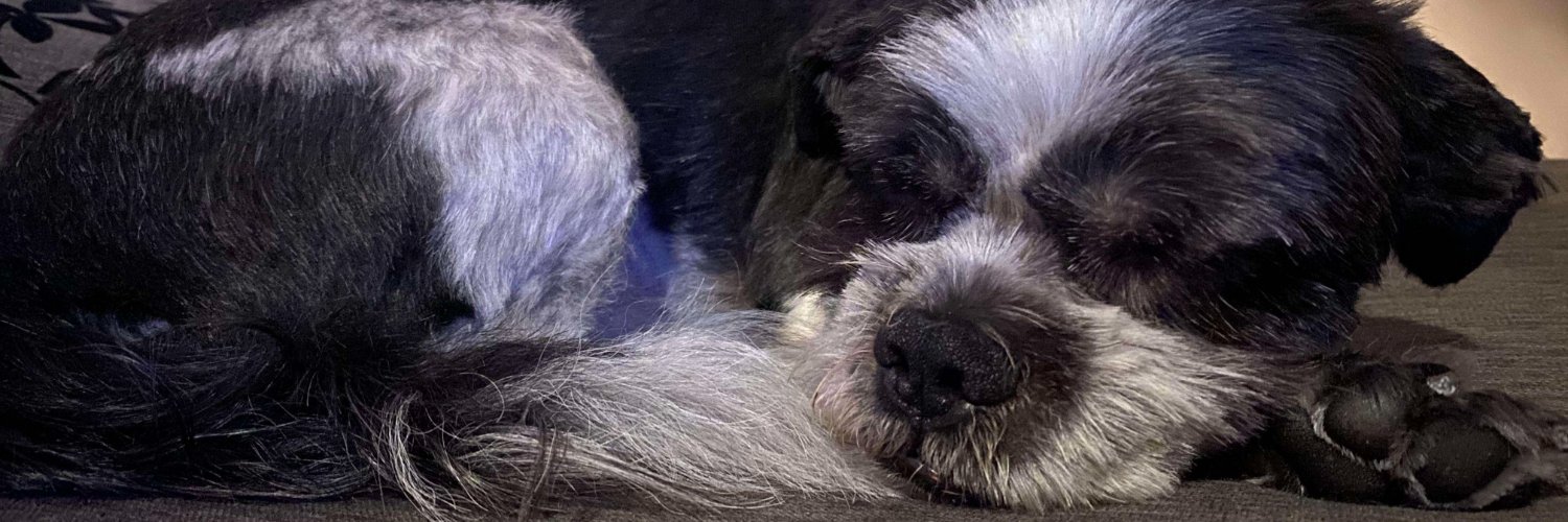 Oscarbrowns - CEO of BROWNDOWN banner