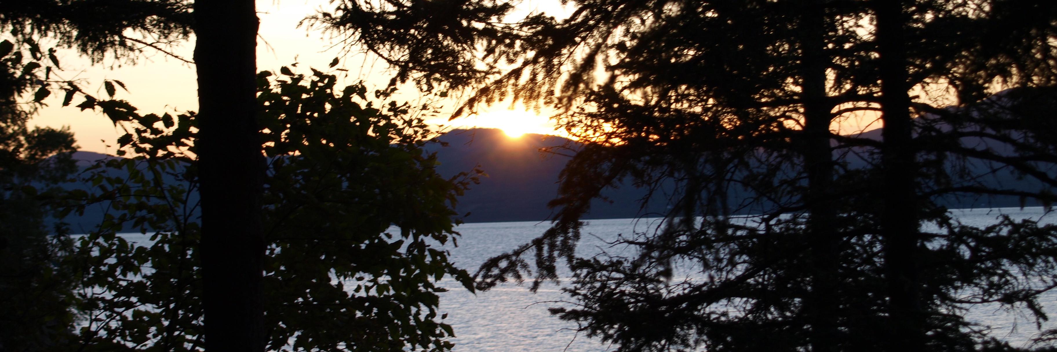 Genevieve Doucet banner