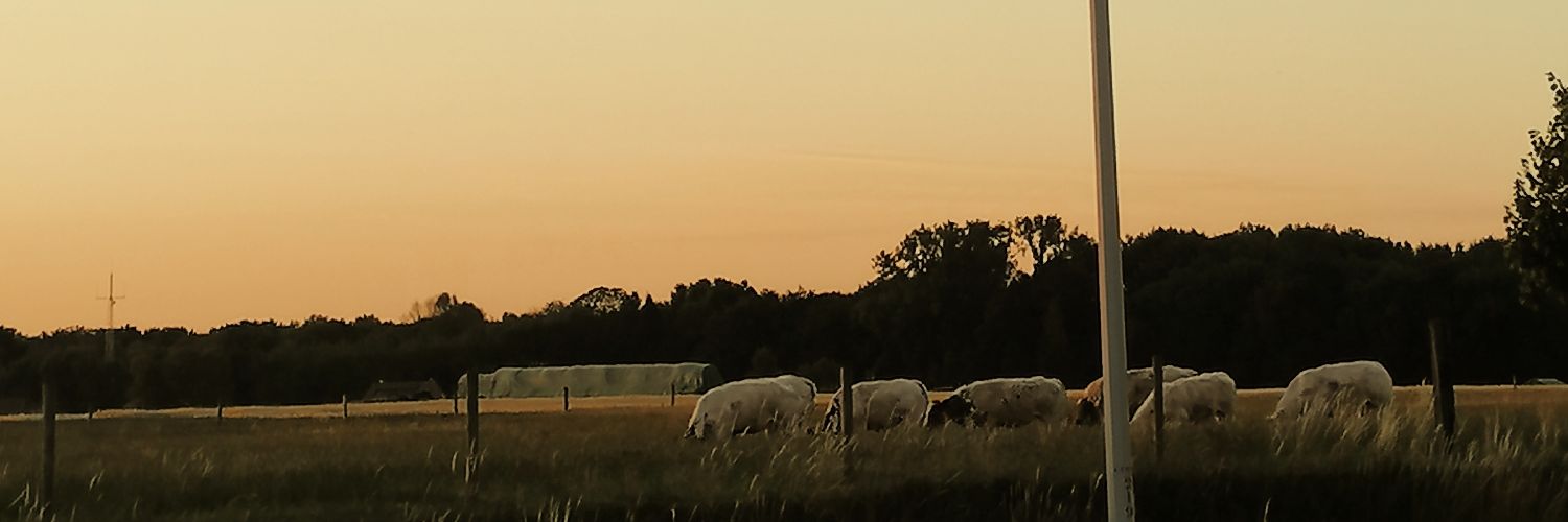 juju78907's profile banner image