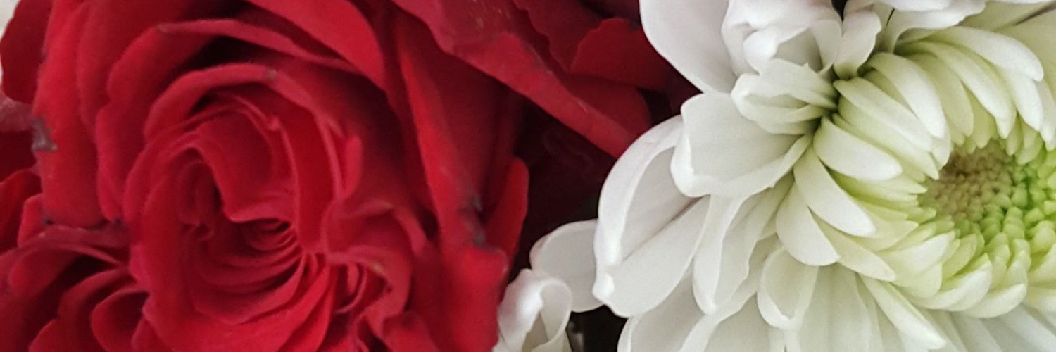 a_linamoon's profile banner image
