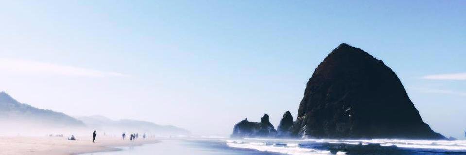 AnneDaigler's profile banner image