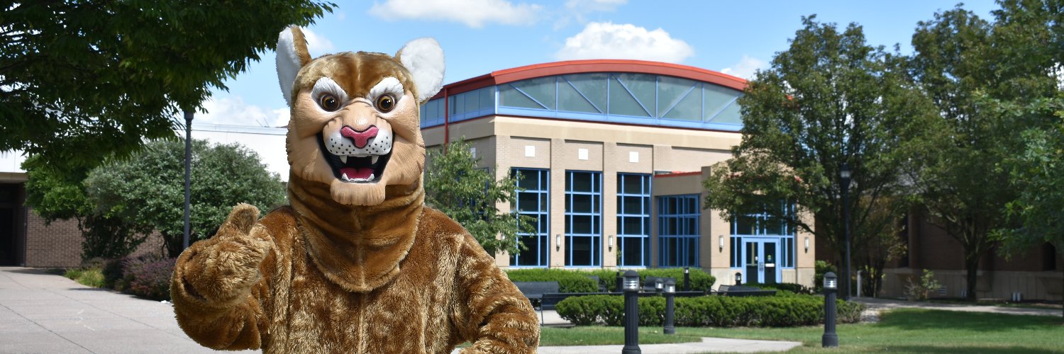 LehighCarbonCC's profile banner image