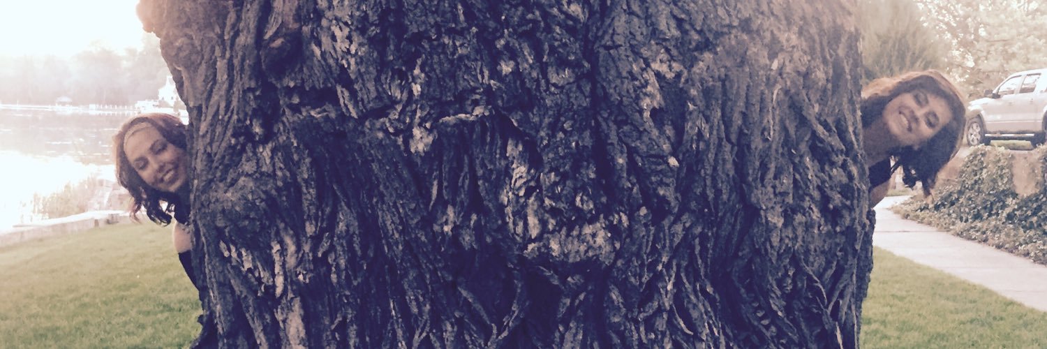 skylerpierce19's profile banner image