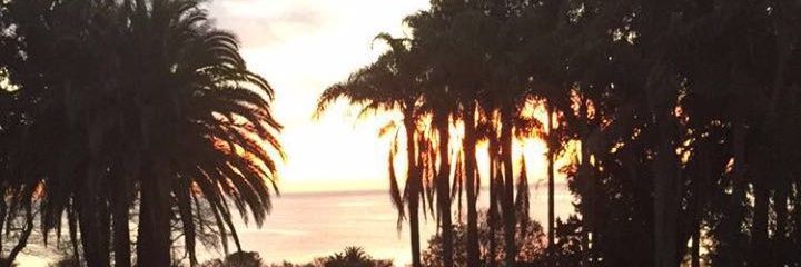 Alefiro's profile banner image