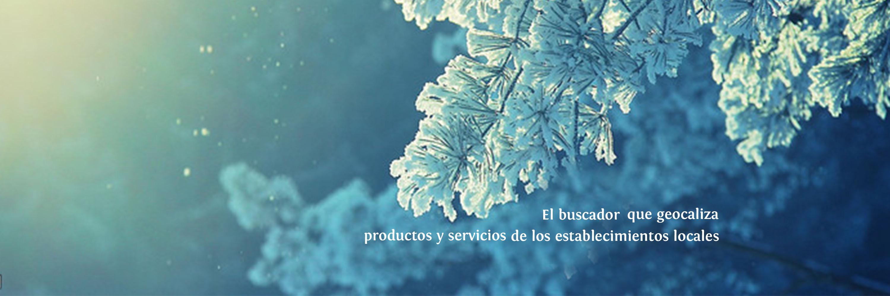 Vibbid's profile banner image