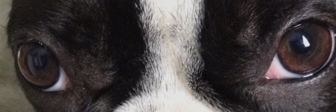 Toddzing's profile banner image