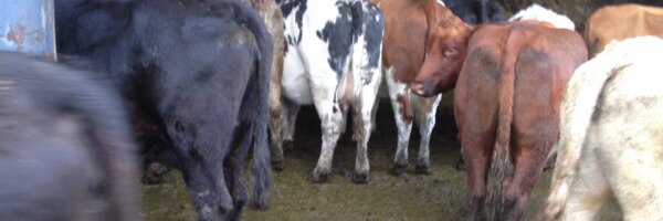 UKFarming Profile Banner