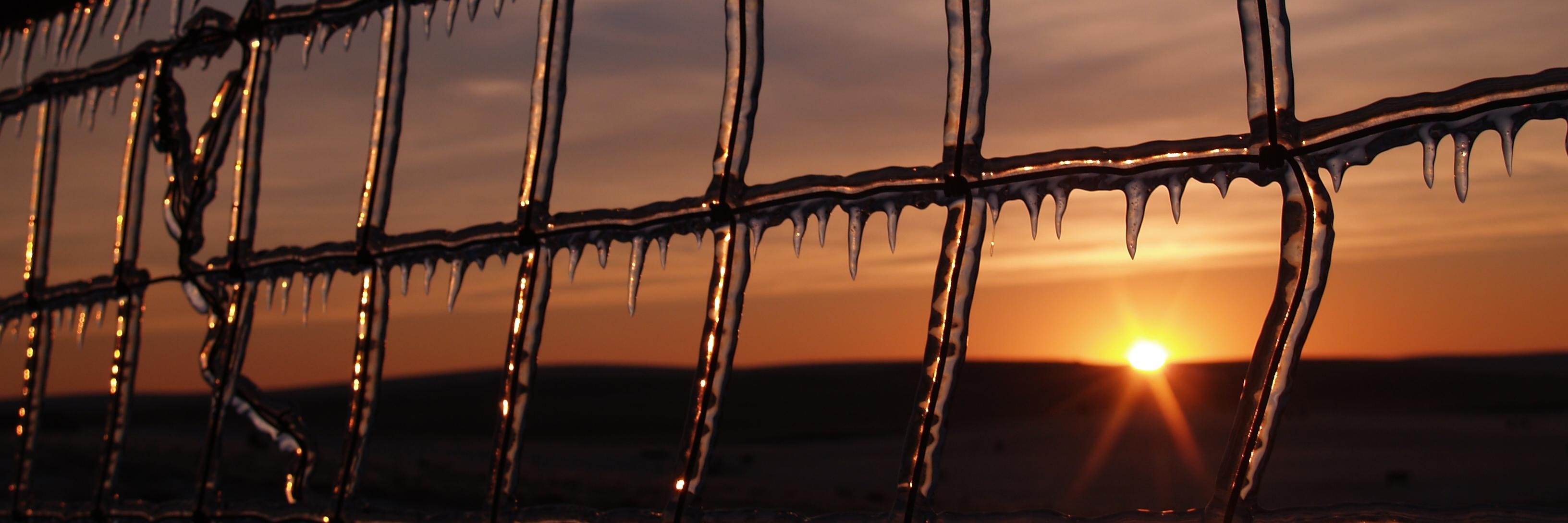 jill_heemstra's profile banner image