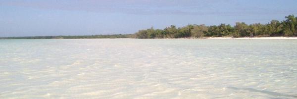 EvaBech Profile Banner