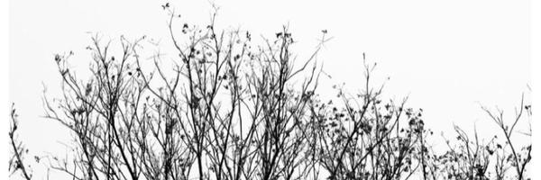 kanner2009 Profile Banner