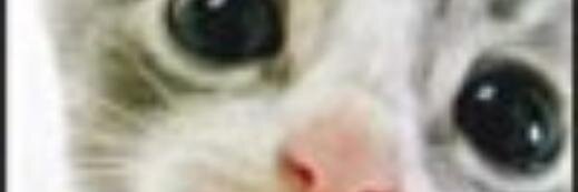 Тихонов Владислав banner