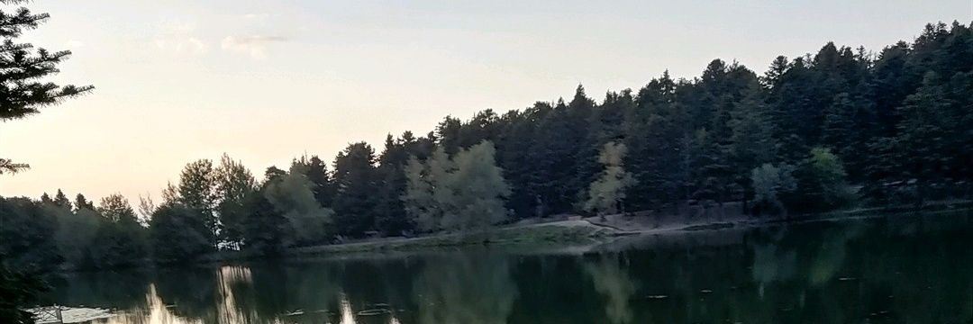 93Sevgibal's profile banner image