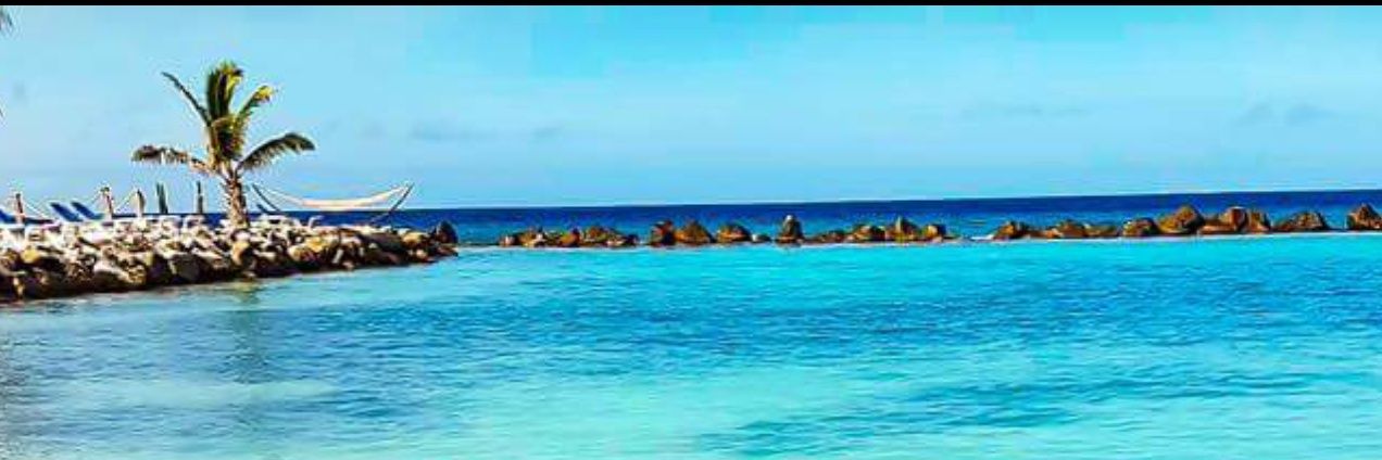 Pao_pua's profile banner image