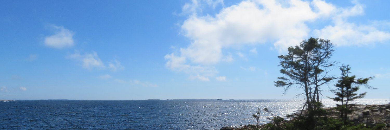 Arne Huse ahuse.bsky.social banner