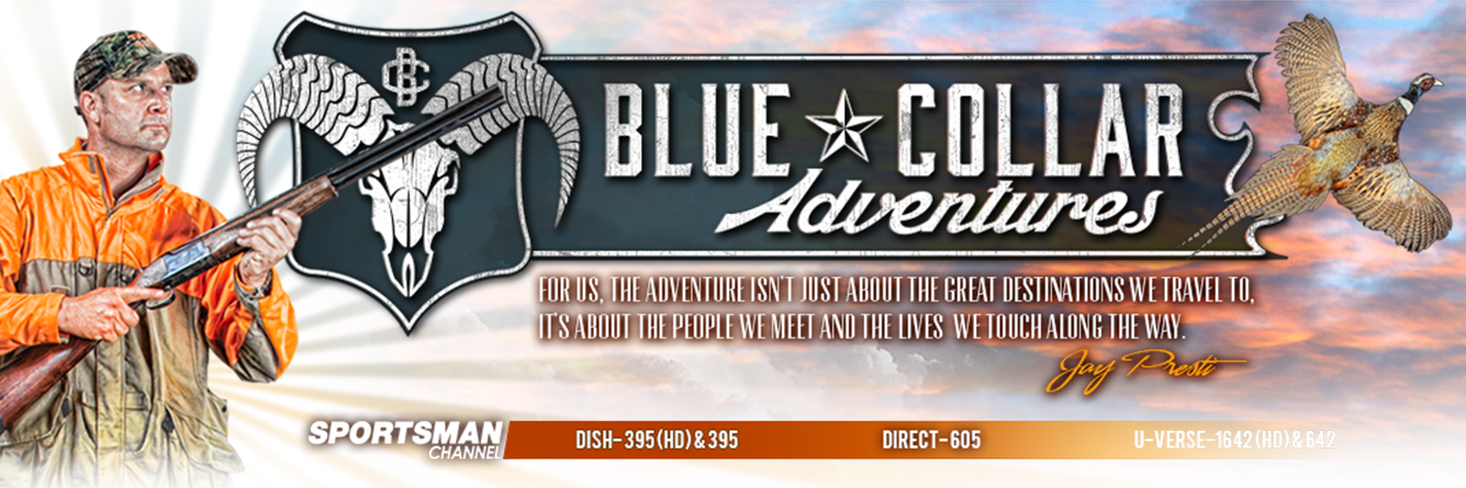 OfficialBCA's profile banner image