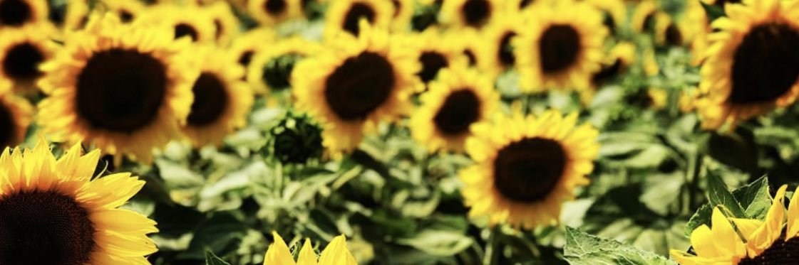 LashaeLivesLife's profile banner image