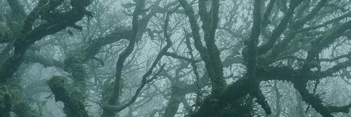 BrianCrocodile's profile banner image