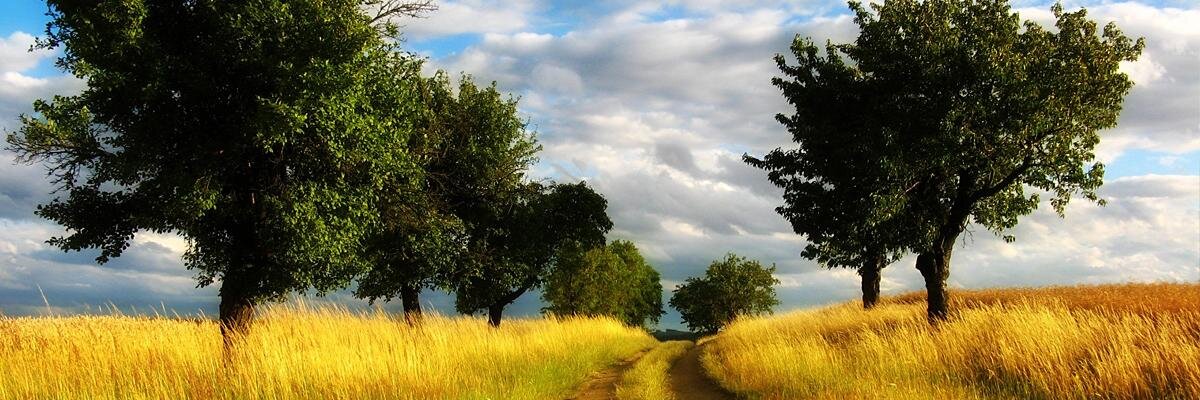 Иванова Алла banner