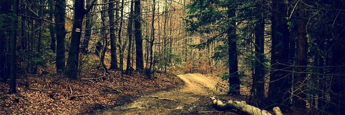 Новиков Колян banner