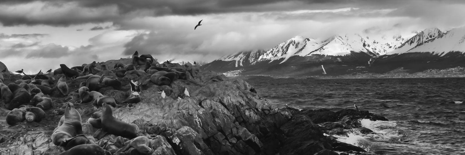dtulli81's profile banner image