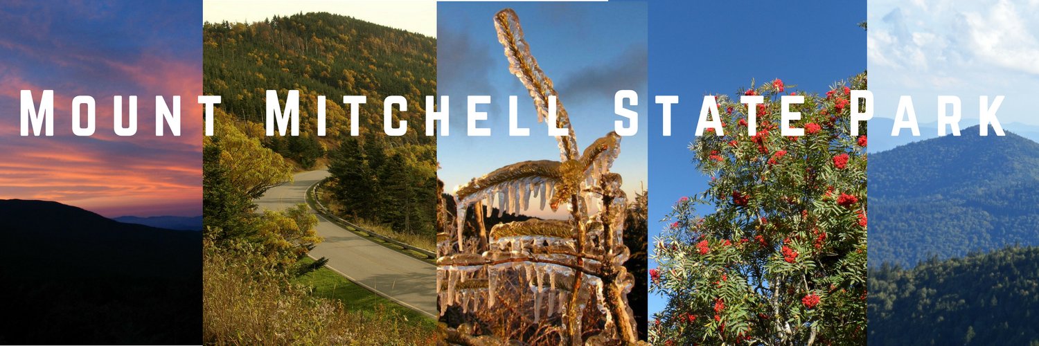 MtMitchellStPk's profile banner image