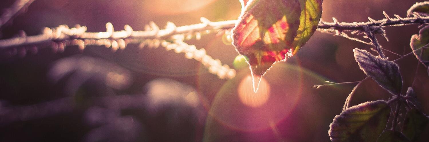 Eric Budzinski banner