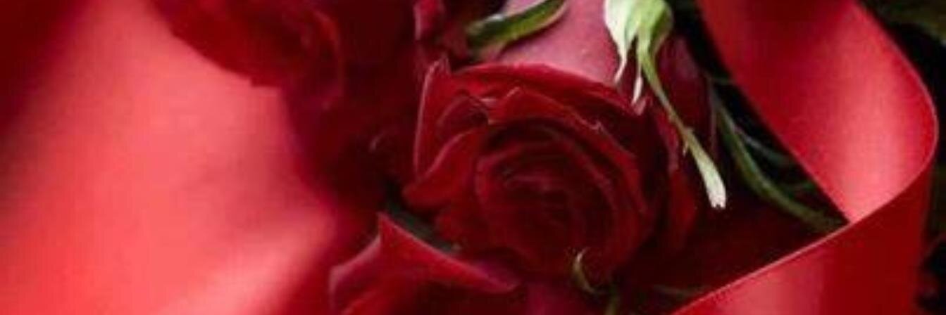 sojoudmohammad's profile banner image