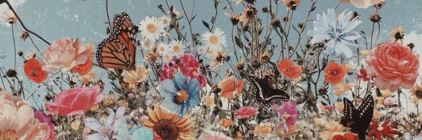 annieburd12's profile banner image
