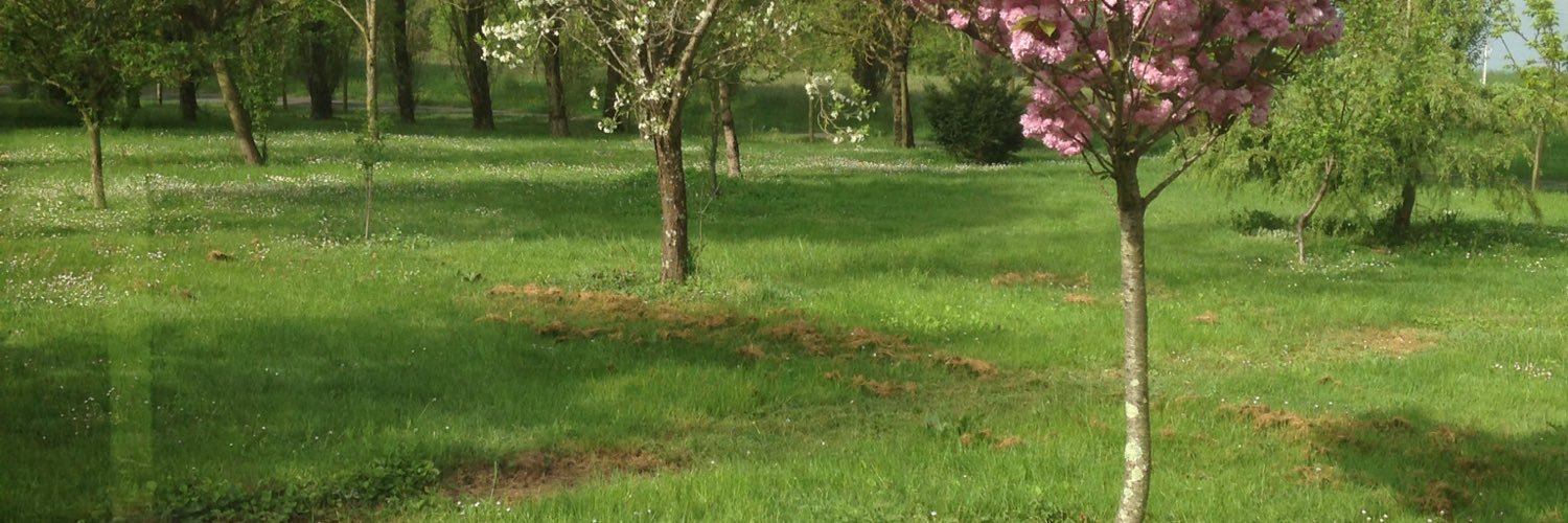 Tranquard33's profile banner image