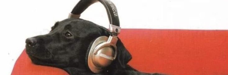 dorisvanessau's profile banner image