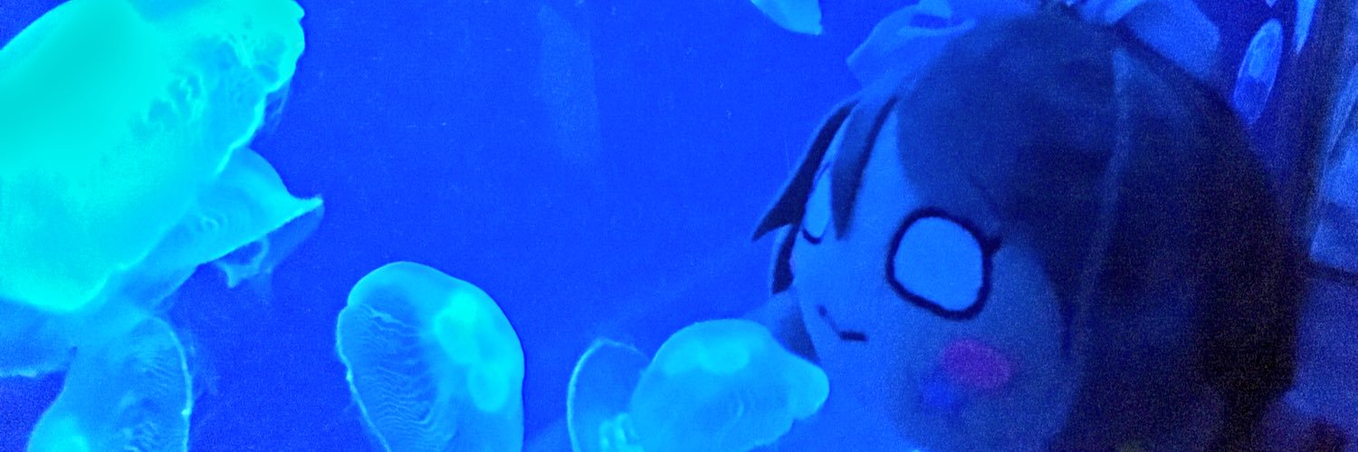 zeroxover's profile banner image