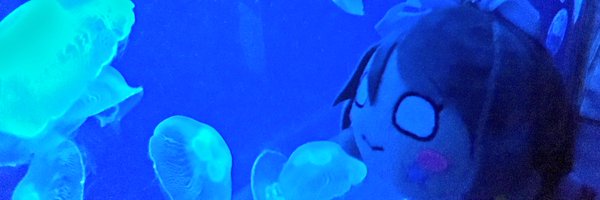zeroxover Profile Banner