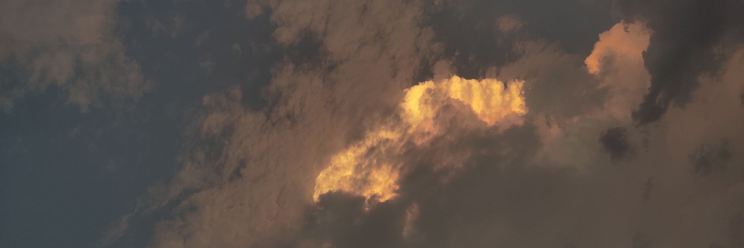 laxmihamal1's profile banner image