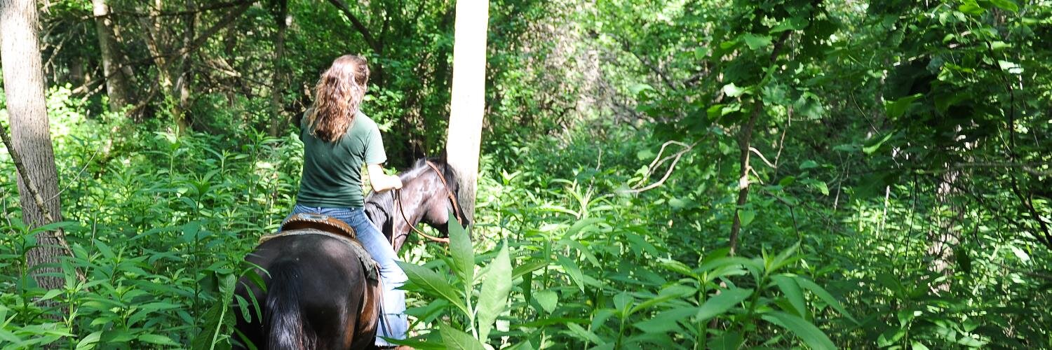 MillbrookTrails's profile banner image