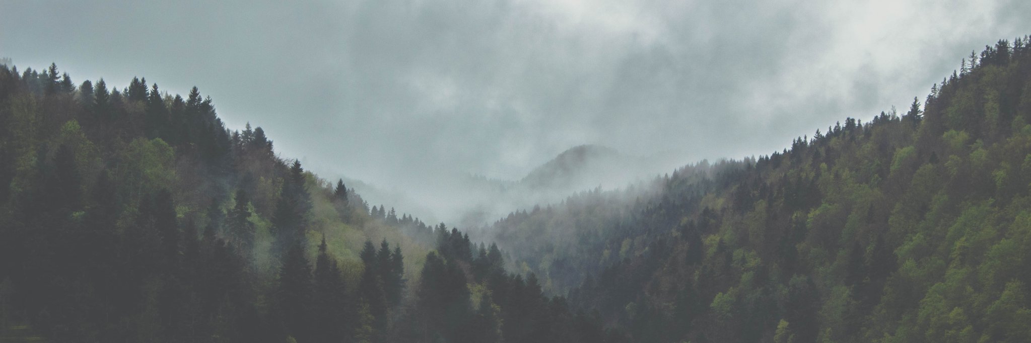 franckgri's profile banner image