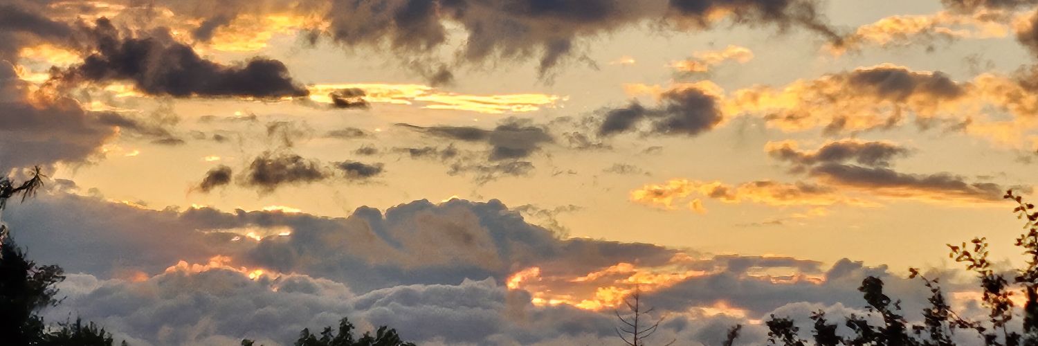 Majrenka's profile banner image