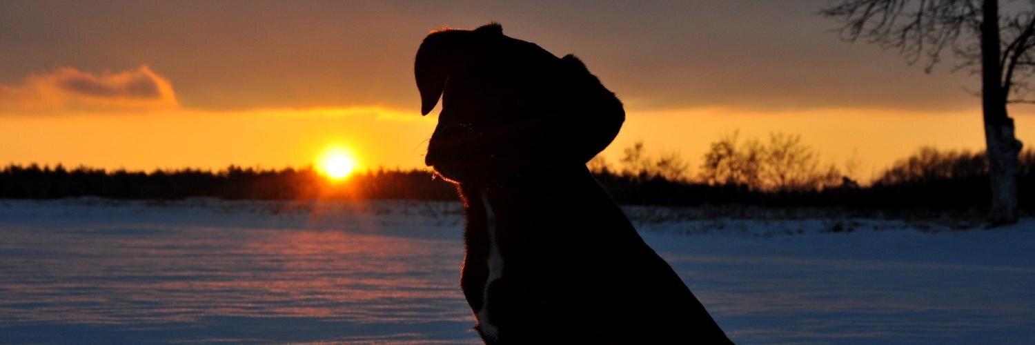 ZachOnLinkedIn's profile banner image