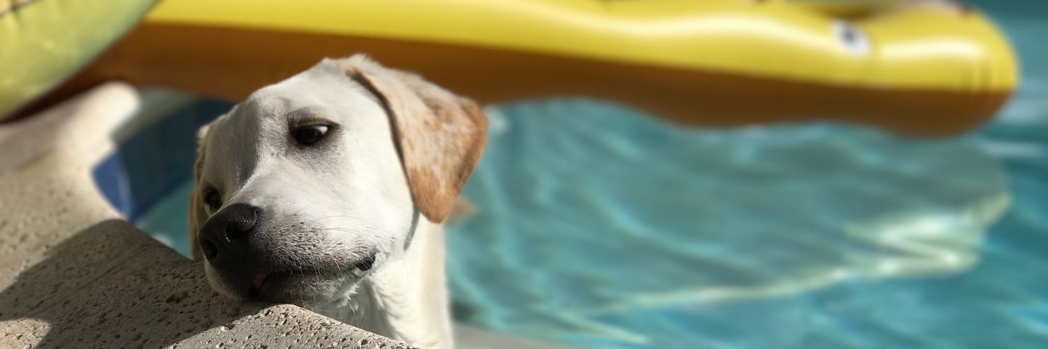 jen_fenter's profile banner image