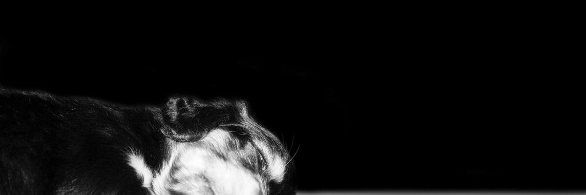 Сафин Ярослав banner