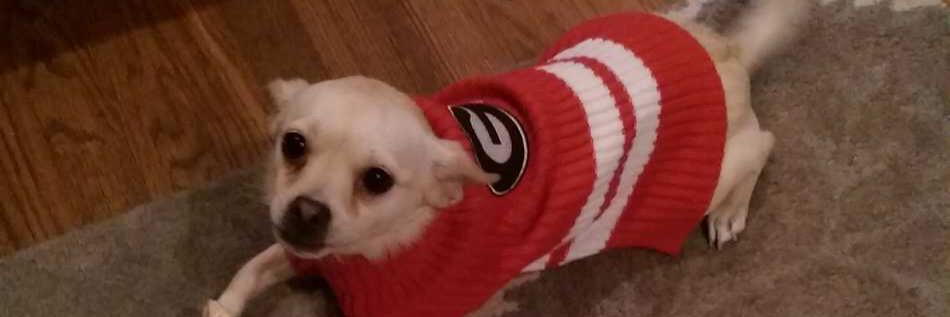 Donald Andrew House banner