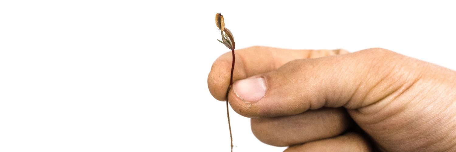 jonsteentrees's profile banner image