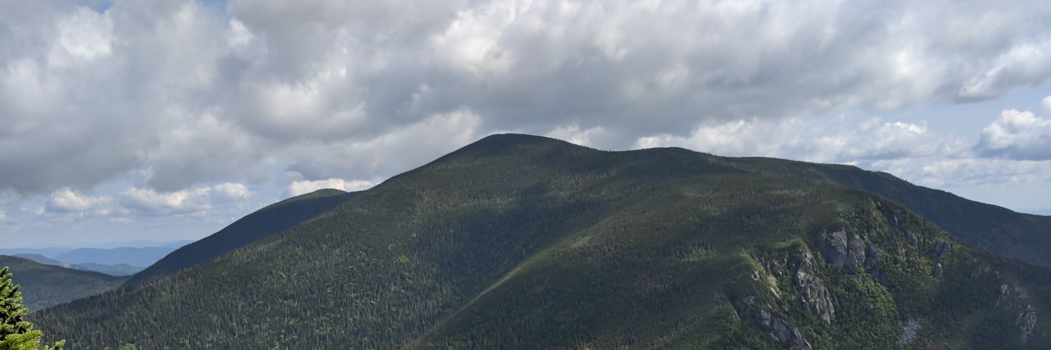 Tuckermanpaws's profile banner image