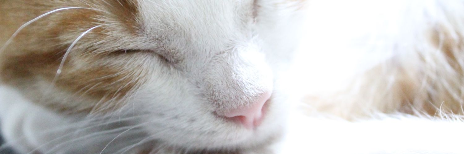 NatiMiranda00's profile banner image