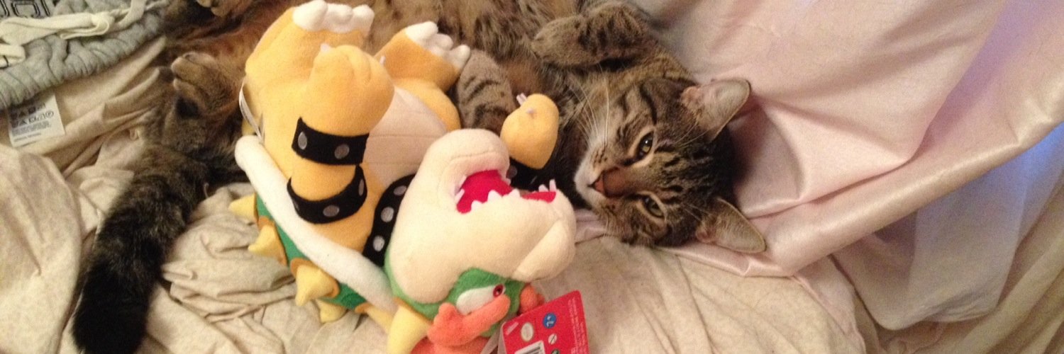 bowserthekitty's profile banner image