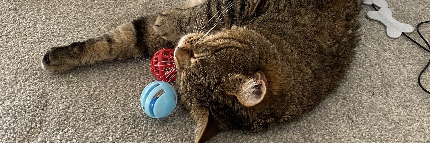 Dan Campbell Apologist banner